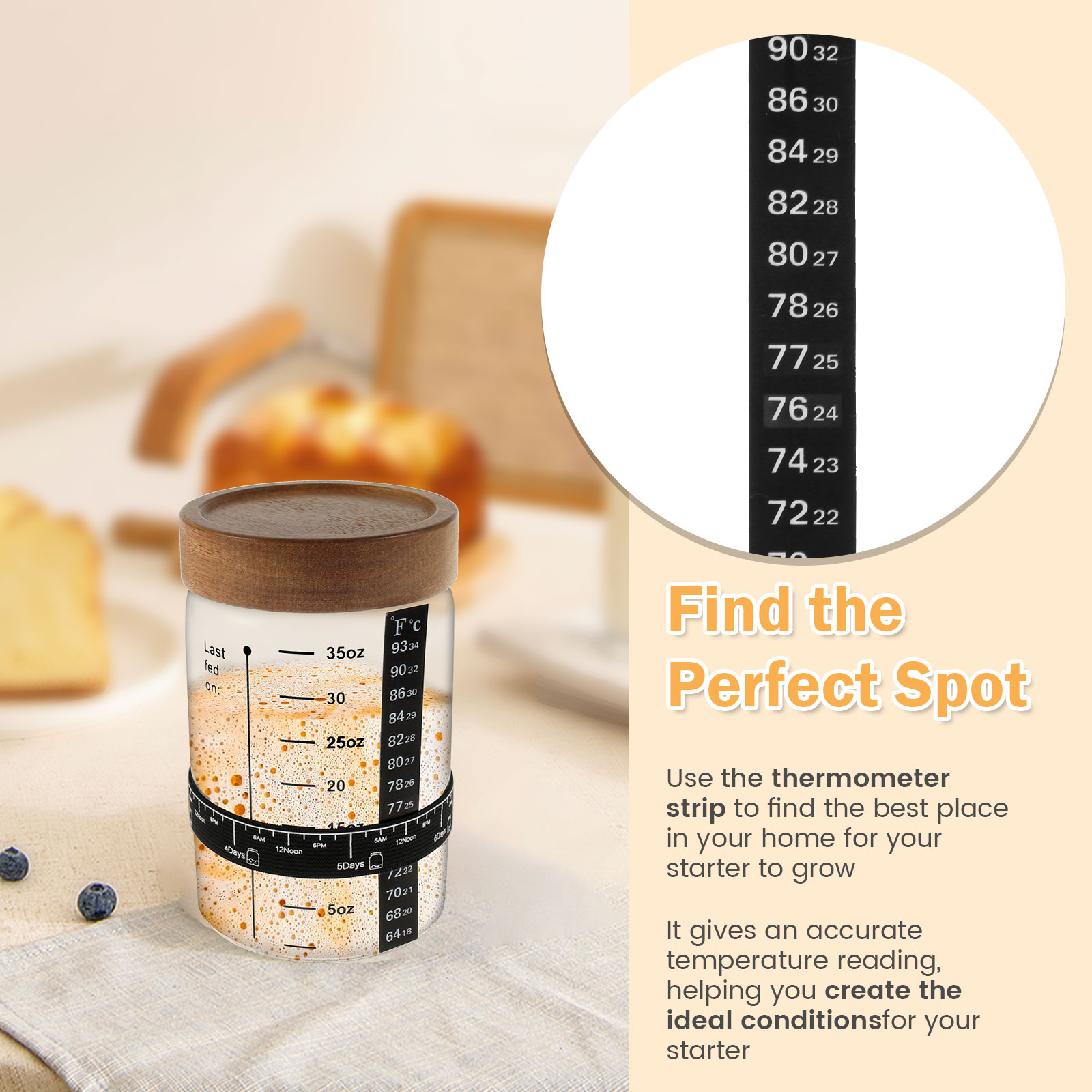 Sourdough 스타터 항아리 키트 1000ml 반죽 - Kitchen Baking Kit 리뷰 및 가격